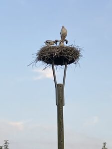 KUNST OFFEN – Vorbereitung